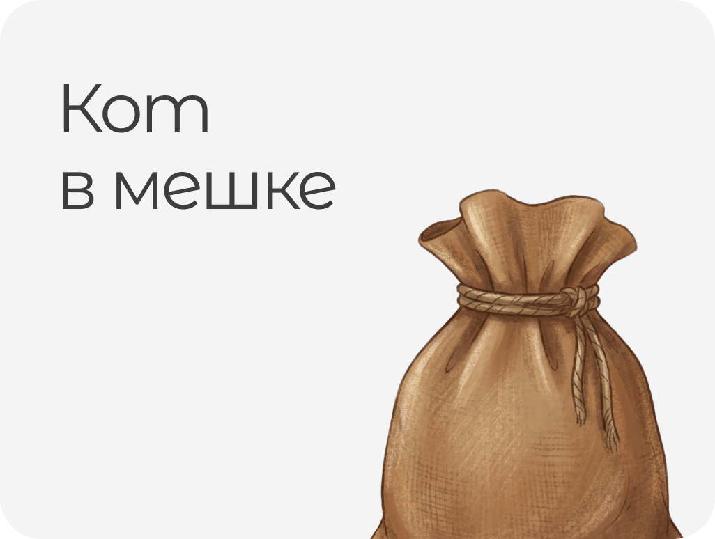 КОТ В МЕШКЕ